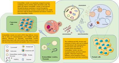 Extracellular RNA as a kind of communication molecule and emerging cancer biomarker